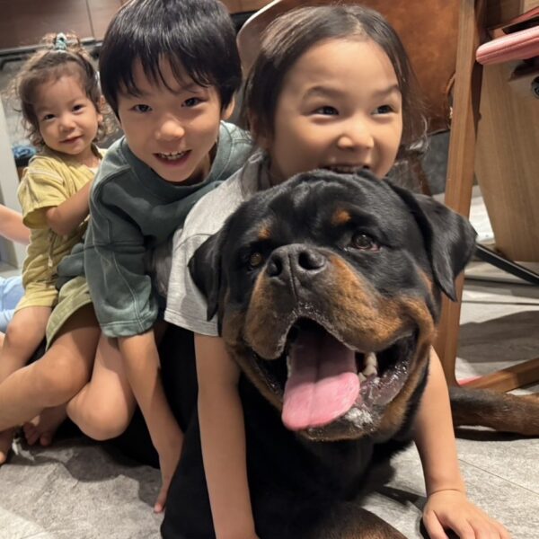 <span class="title">Tarzanくん1歳のお誕生日おめでとう🎂</span>